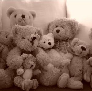 Meet your Posher, Trisha